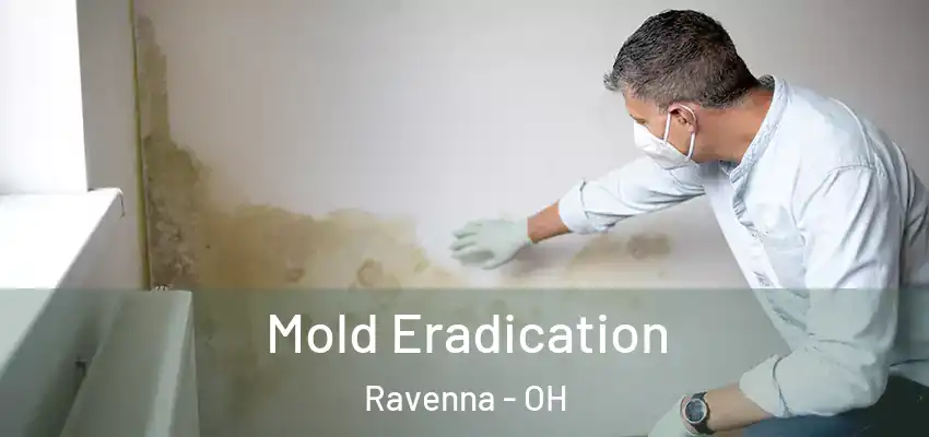  Mold Eradication Ravenna - OH