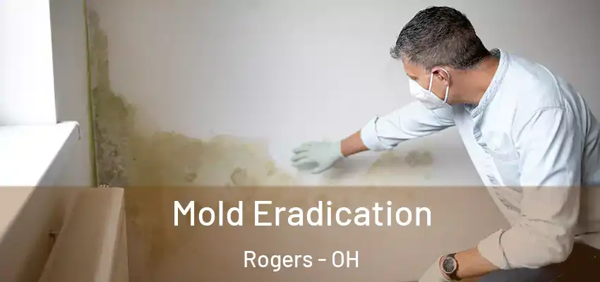  Mold Eradication Rogers - OH