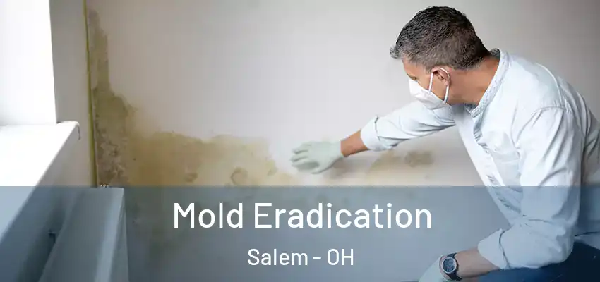  Mold Eradication Salem - OH