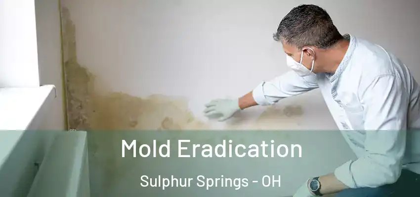  Mold Eradication Sulphur Springs - OH