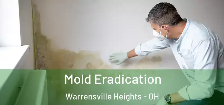 Mold Eradication Warrensville Heights - OH