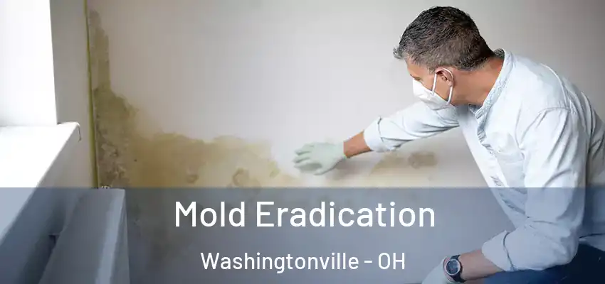 Mold Eradication Washingtonville - OH