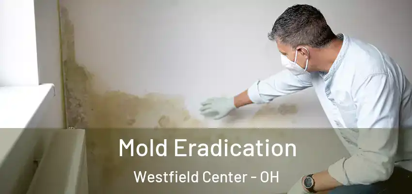  Mold Eradication Westfield Center - OH