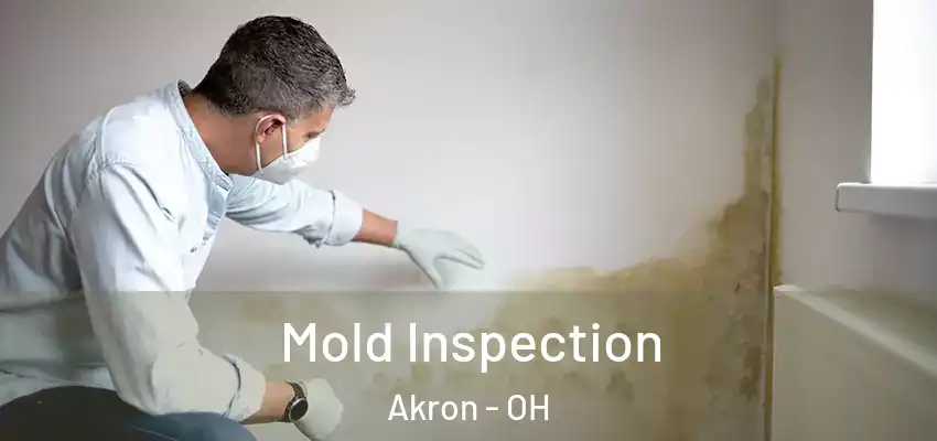 Mold Inspection Akron - OH