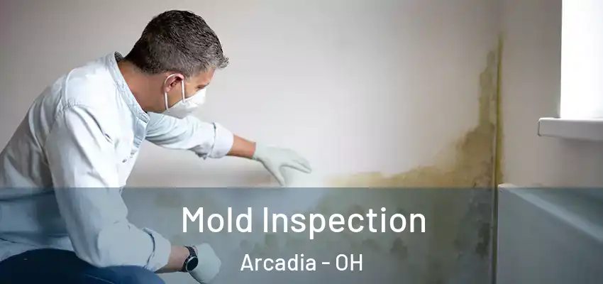 Mold Inspection Arcadia - OH