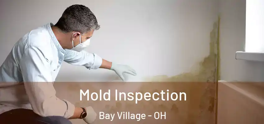  Mold Inspection Bay Village - OH