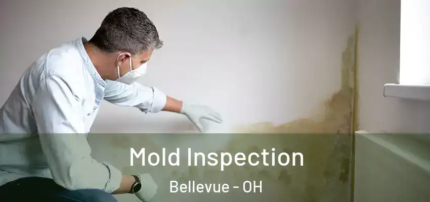  Mold Inspection Bellevue - OH
