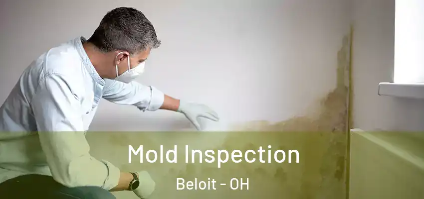  Mold Inspection Beloit - OH