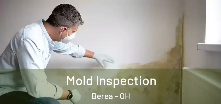 Mold Inspection Berea - OH