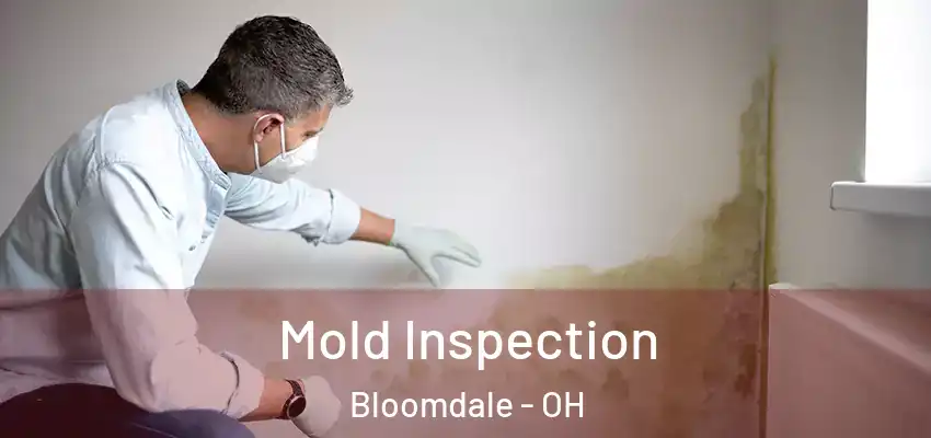 Mold Inspection Bloomdale - OH