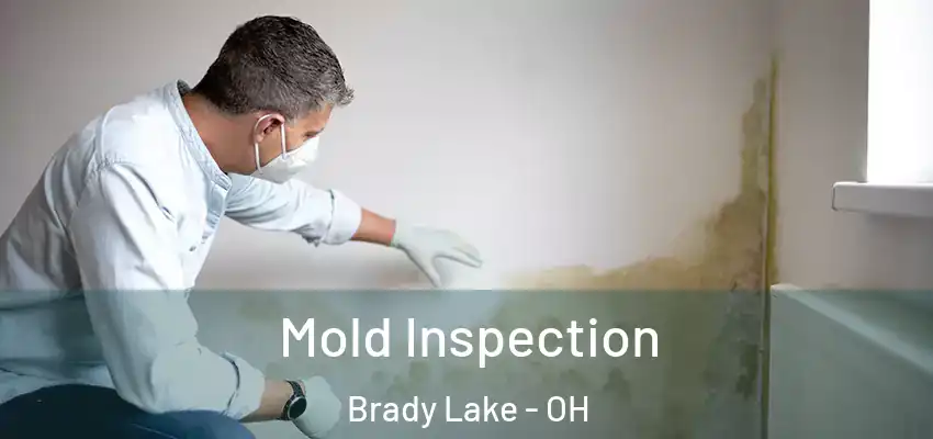Mold Inspection Brady Lake - OH