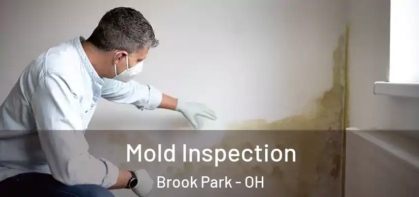 Mold Inspection Brook Park - OH