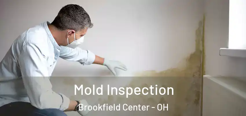  Mold Inspection Brookfield Center - OH