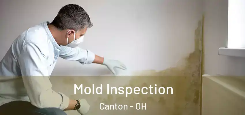 Mold Inspection Canton - OH