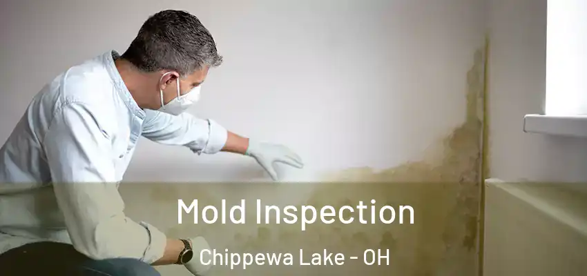 Mold Inspection Chippewa Lake - OH
