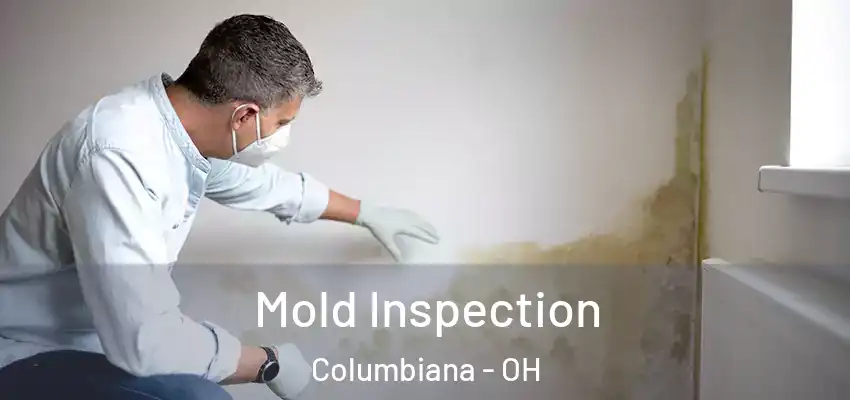  Mold Inspection Columbiana - OH