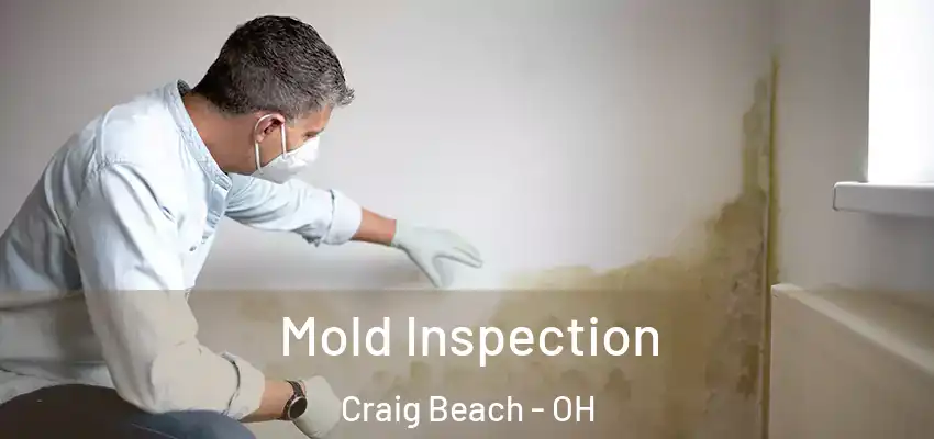  Mold Inspection Craig Beach - OH