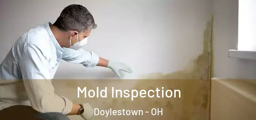  Mold Inspection Doylestown - OH
