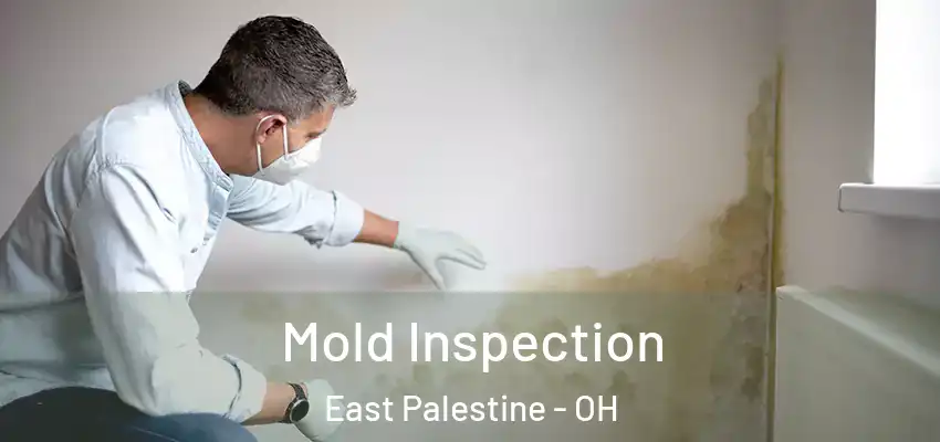  Mold Inspection East Palestine - OH
