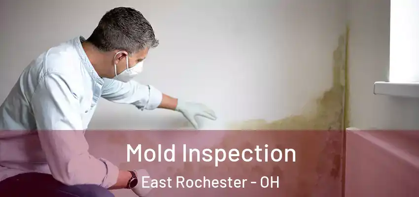  Mold Inspection East Rochester - OH
