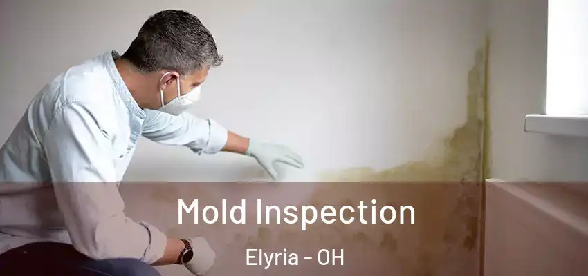  Mold Inspection Elyria - OH