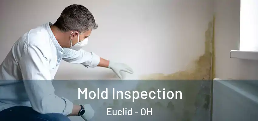 Mold Inspection Euclid - OH