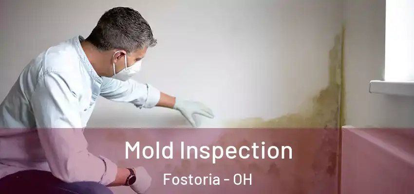 Mold Inspection Fostoria - OH