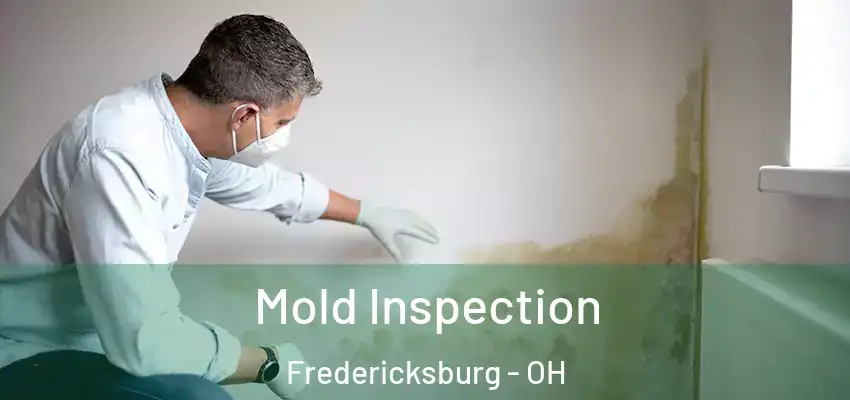  Mold Inspection Fredericksburg - OH