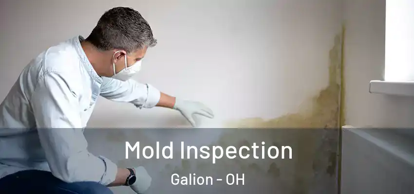 Mold Inspection Galion - OH