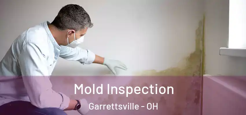  Mold Inspection Garrettsville - OH