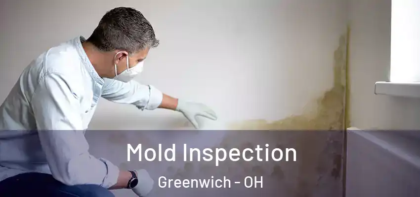 Mold Inspection Greenwich - OH