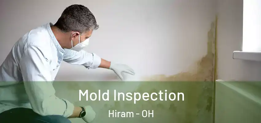 Mold Inspection Hiram - OH