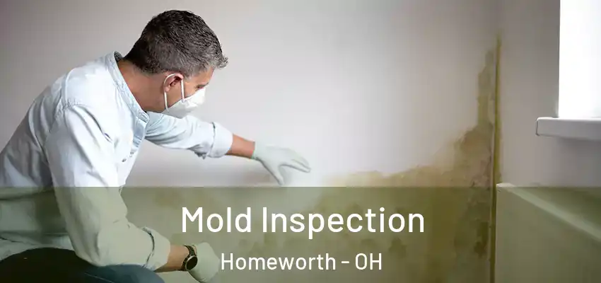 Mold Inspection Homeworth - OH