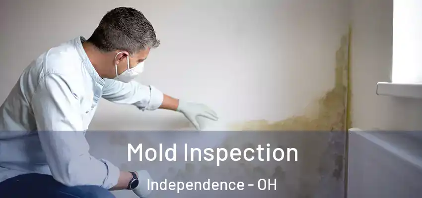  Mold Inspection Independence - OH