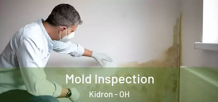  Mold Inspection Kidron - OH