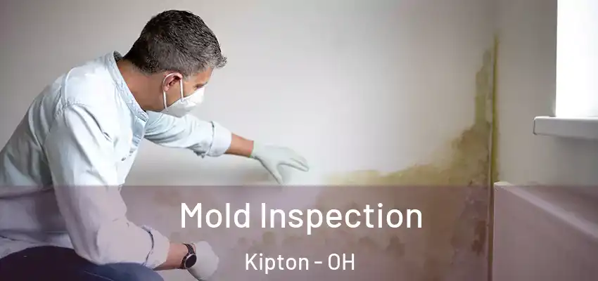  Mold Inspection Kipton - OH