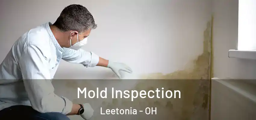 Mold Inspection Leetonia - OH