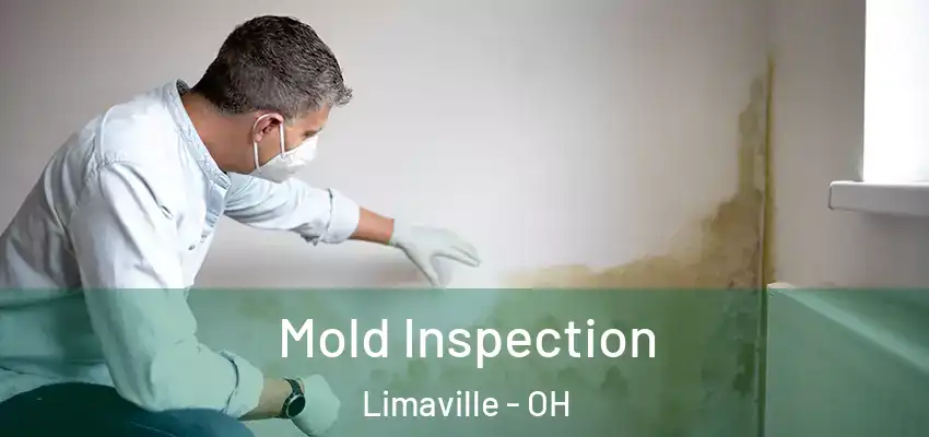 Mold Inspection Limaville - OH