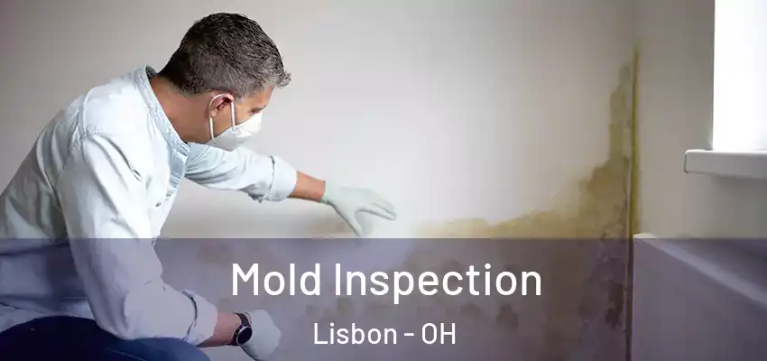 Mold Inspection Lisbon - OH