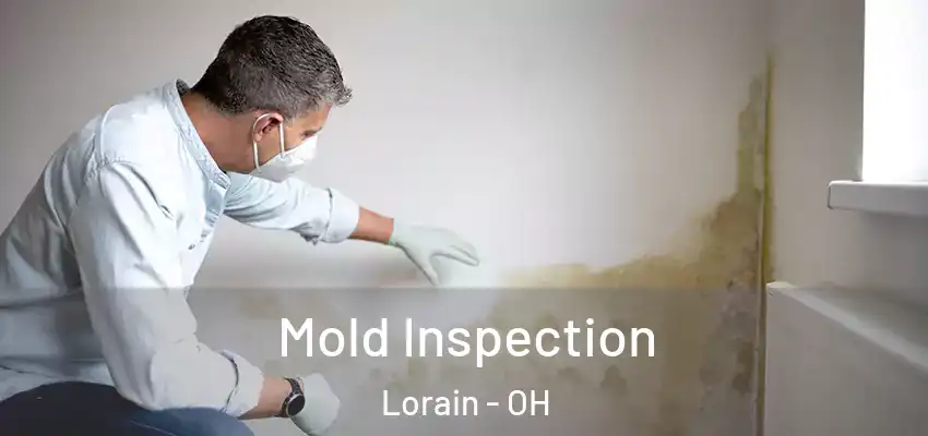  Mold Inspection Lorain - OH