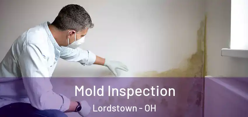 Mold Inspection Lordstown - OH
