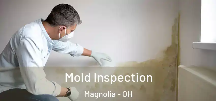 Mold Inspection Magnolia - OH