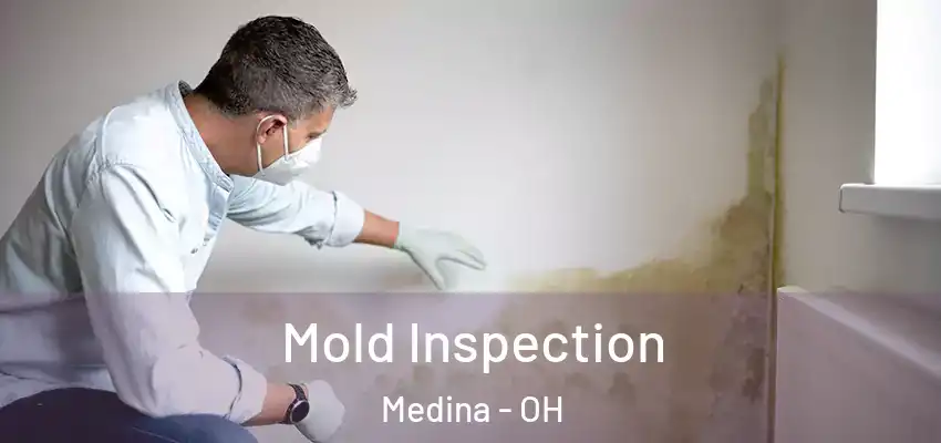 Mold Inspection Medina - OH