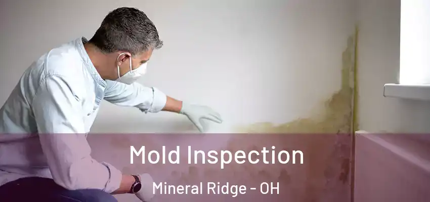  Mold Inspection Mineral Ridge - OH