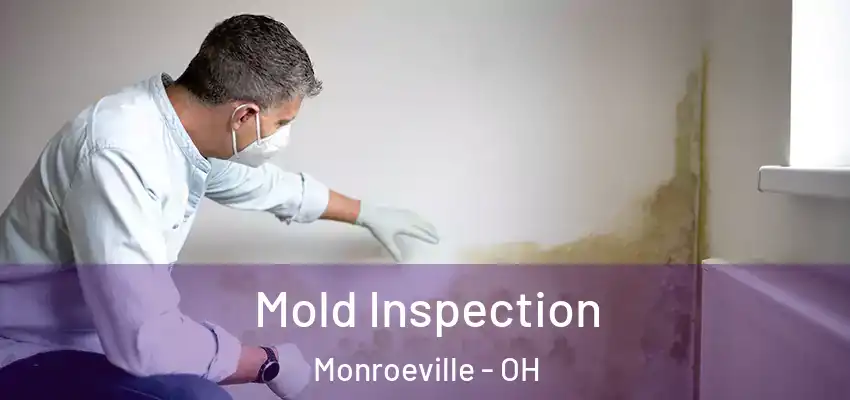 Mold Inspection Monroeville - OH