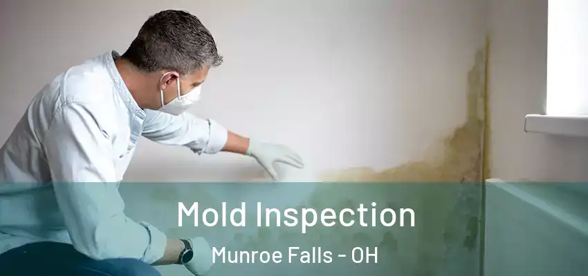 Mold Inspection Munroe Falls - OH