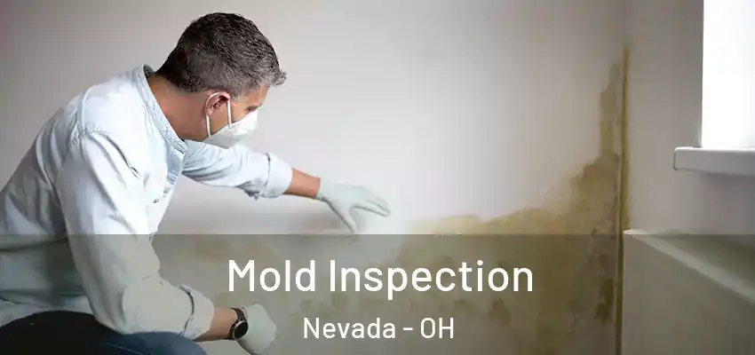 Mold Inspection Nevada - OH