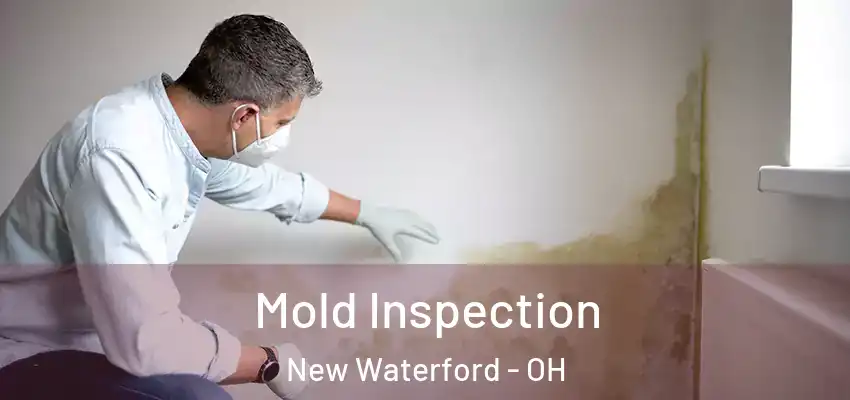  Mold Inspection New Waterford - OH