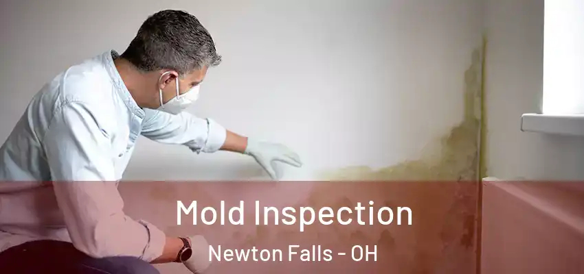 Mold Inspection Newton Falls - OH