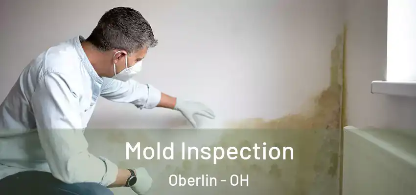 Mold Inspection Oberlin - OH